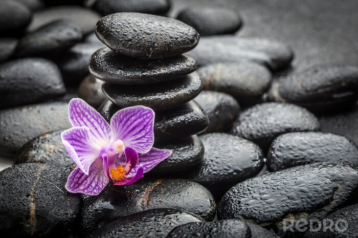 Sticker spa concept zen basalt stenen en orchidee