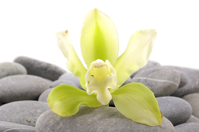 Sticker Spa essentials piramide van stenen met orchidee