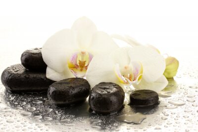 Spa stenen en orchidee bloemen, geïsoleerd op wit.