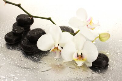 Spa stenen en orchidee bloemen, geïsoleerd op wit.