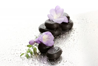 Sticker Spa stenen en paarse bloemen, op natte achtergrond