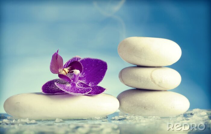 Sticker Spa still life with pink orchid and white zen stone