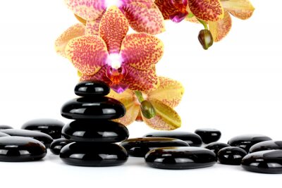 Sticker Spa Stones and Orchid flowers over white...
