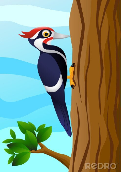 Sticker Specht op een boom kleurrijke afbeelding
