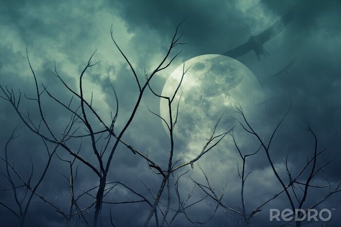 Sticker Spooky forest with full moon, dead trees, Halloween background