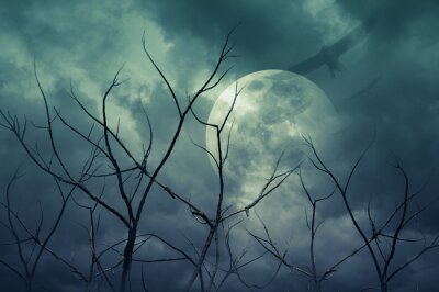 Sticker Spooky forest with full moon, dead trees, Halloween background