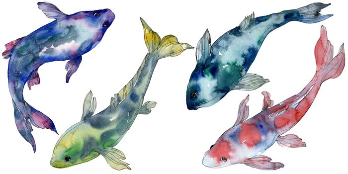 Sticker Spotted aquatic underwater colorful tropical fish set. Watercolor background set. Isolated fish illustration element.