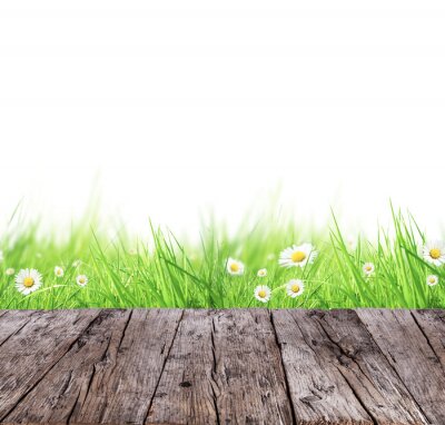 Sticker Spring weide concept met houten planken en witte achtergrond