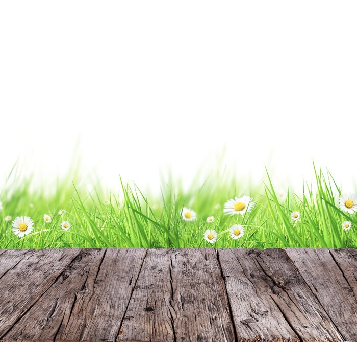 Sticker Spring weide concept met houten planken en witte achtergrond