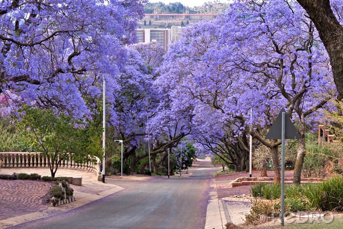 Sticker Stad en natuur