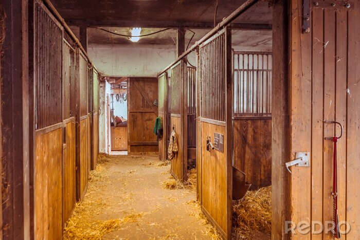 Sticker Stal met boxen voor paarden