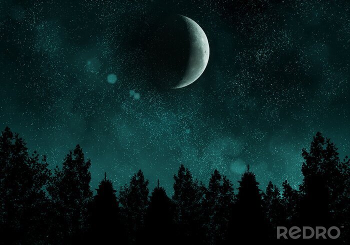 Sticker Starry nacht met bos en de maan