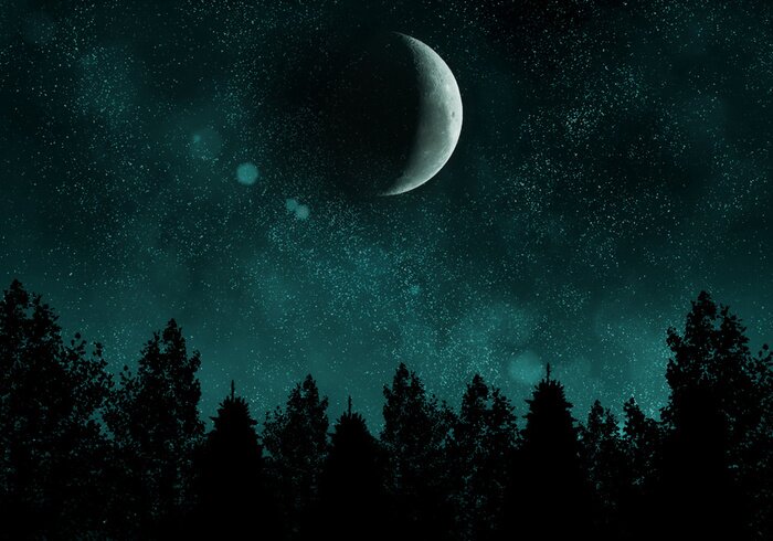 Sticker Starry nacht met bos en de maan