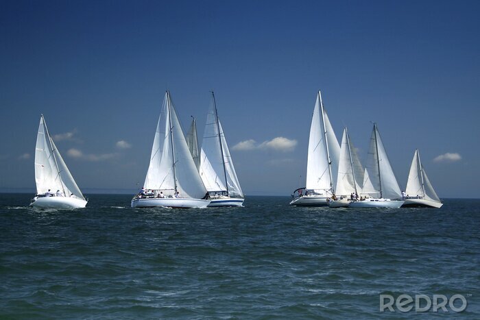Sticker starten van een zeilregatta