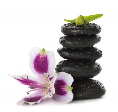 Sticker Stenen en lelie