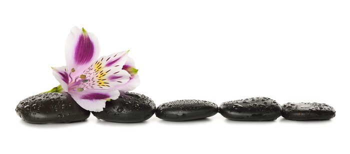 Sticker Stenen en lelie