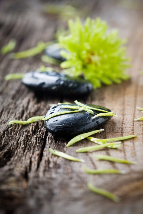 Sticker Stenen met water druppels