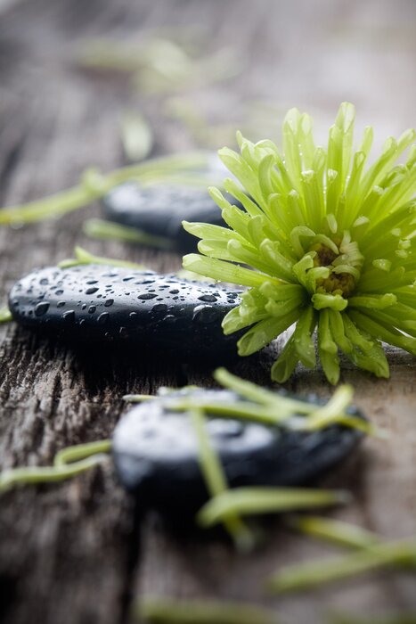 Sticker Stenen met water druppels