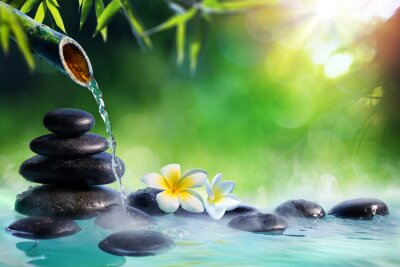 Stenen water en bloemen