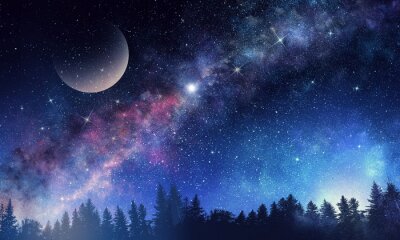 Sterrenhemel 's nachts met bos en maan