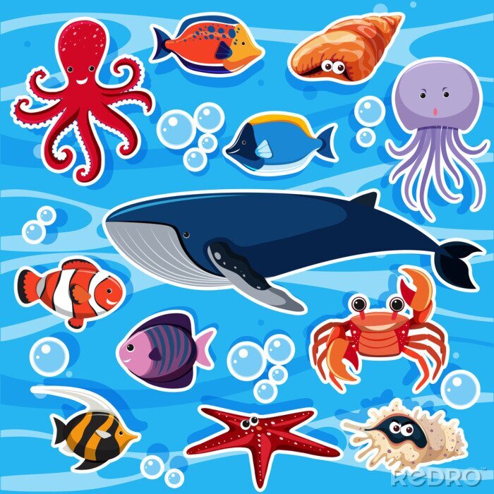 Sticker Stickersjabloon met veel zeedieren
