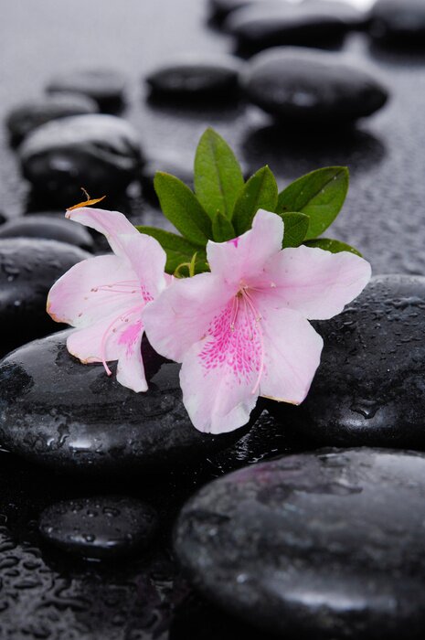 Sticker Still life with white two lily with therapy stones