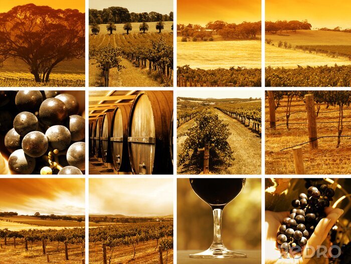 Sticker Stills uit de wijngaard bij zonsondergang