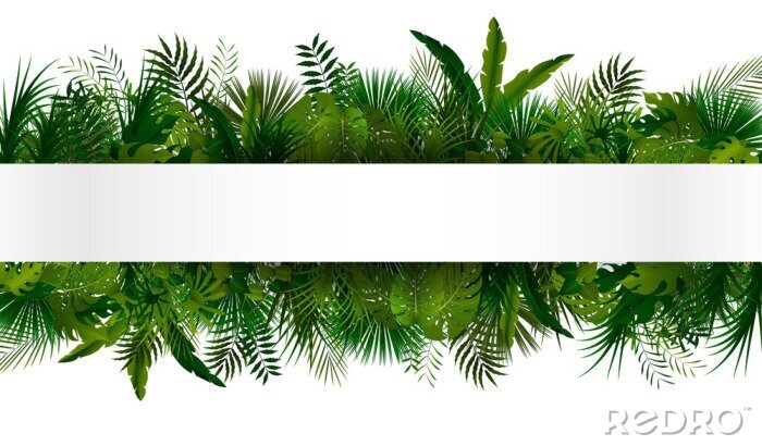 Sticker Strepen van tropische vegetatie twee gereflecteerde illustraties