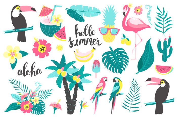 Sticker Summer set of design elements tropical leaves, flowers, fruits, flamingos, toucan, parrot. Vector illustration