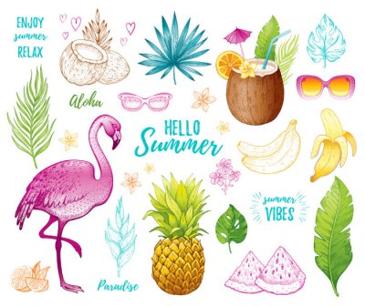 Sticker Summer tropic sticker set for t-shirt print, logo design, print, ca. Vector flamingo, palm leaf, exotic fruit. Hand drawn vintage art. Cool doodle pineapple, watermelon, banana. White background