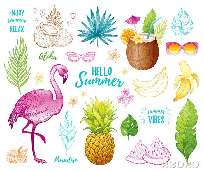 Sticker Summer tropic sticker set for t-shirt print, logo design, print, ca. Vector flamingo, palm leaf, exotic fruit. Hand drawn vintage art. Cool doodle pineapple, watermelon, banana. White background