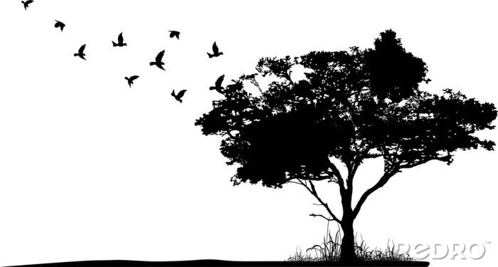 Sticker Tekening van zwart-witte vogels en een grote boom