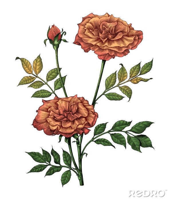 Sticker Theeroosjes in herfstkleuren