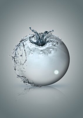 Sticker Tomaat van water