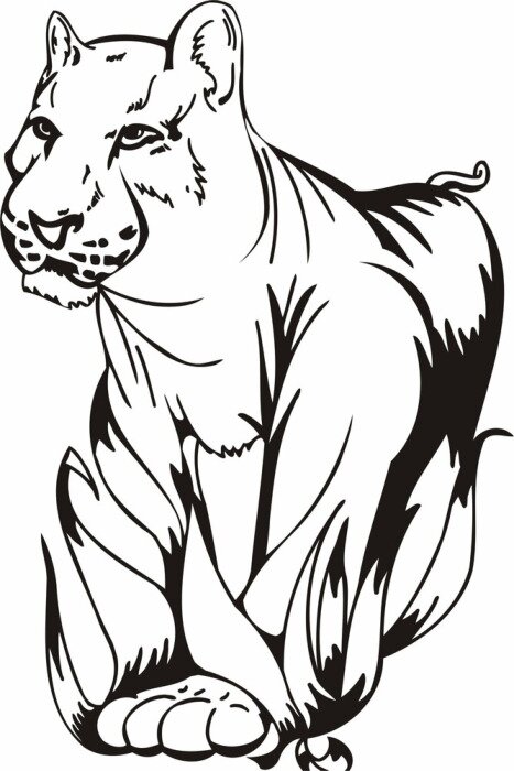 Sticker Tribal Predators.