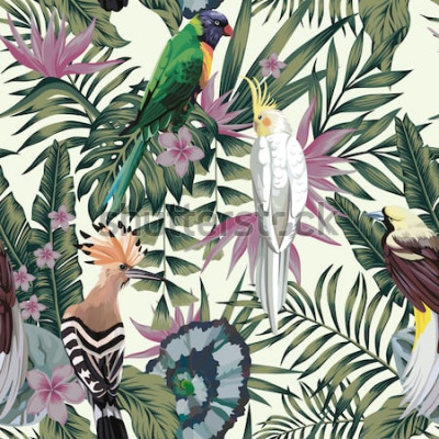 Sticker Tropical birds parrot hoopoe, exotic jungle plants leaves flowers abstract pastel color seamless white background