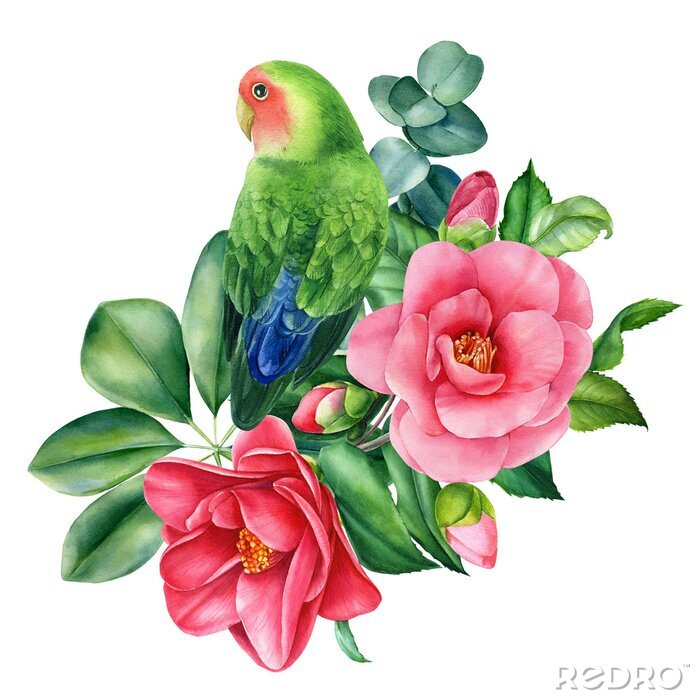 Sticker Tropical composition bouquet of flowers and parrots lovebirds on isolated white background, watercolor illustration