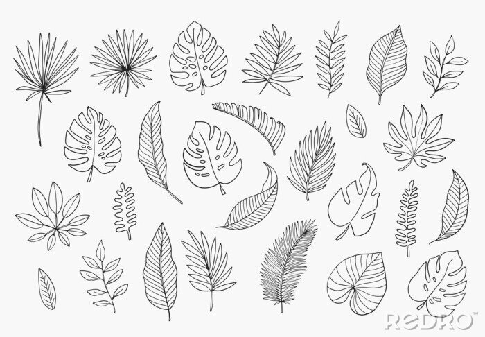 Sticker Tropical Leaves in doodle style. Vector hand drawn black line design elements. Exotic summer botanical illustrations. Monstera leaves, palm, banana leaf.