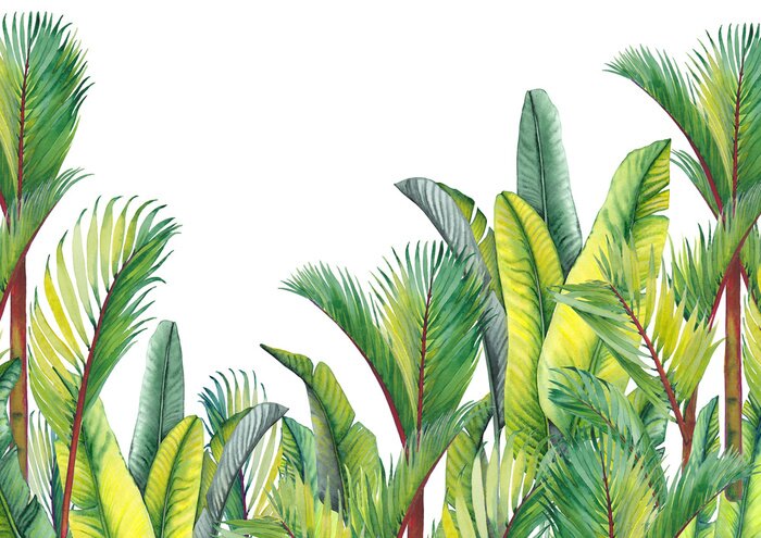 Sticker Tropical palm trees and banana leaves. Isolated watercolor background.