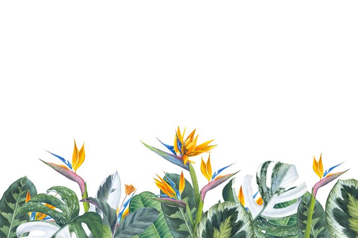 Sticker Tropische bladeren en strelitzia's op een witte achtergrond