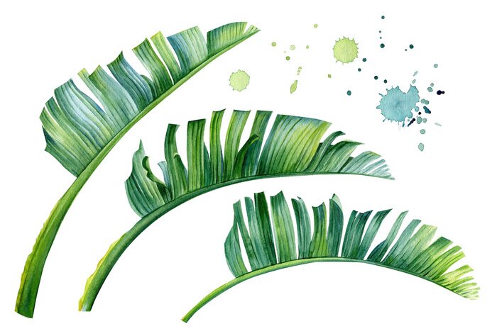 Sticker Tropische bladeren geschilderd met waterverf