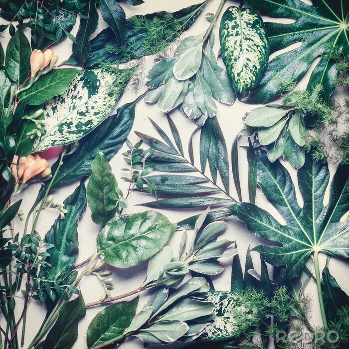 Sticker Tropische bladeren in retro stijl