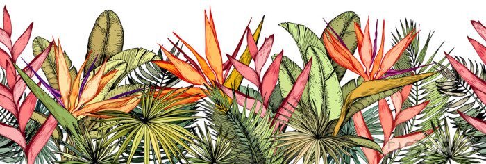 Sticker Tropische planten op een witte achtergrond