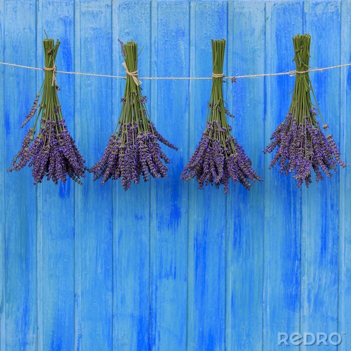 Sticker Trossen lavendel op een blauwe achtergrond
