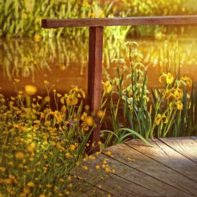 Tuin water met oude houten brug