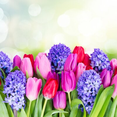 Sticker Tulpen en hyacinten