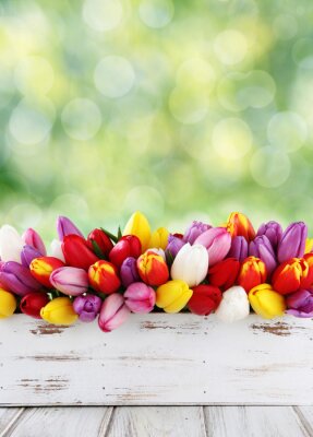 Sticker Tulpen gerangschikt in een doos