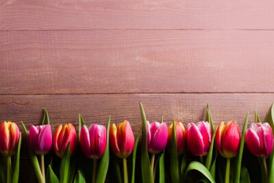 Sticker Tulpen naast elkaar