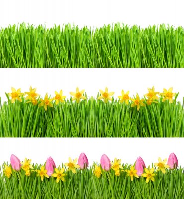 Sticker Tulpen, narcissen en gras
