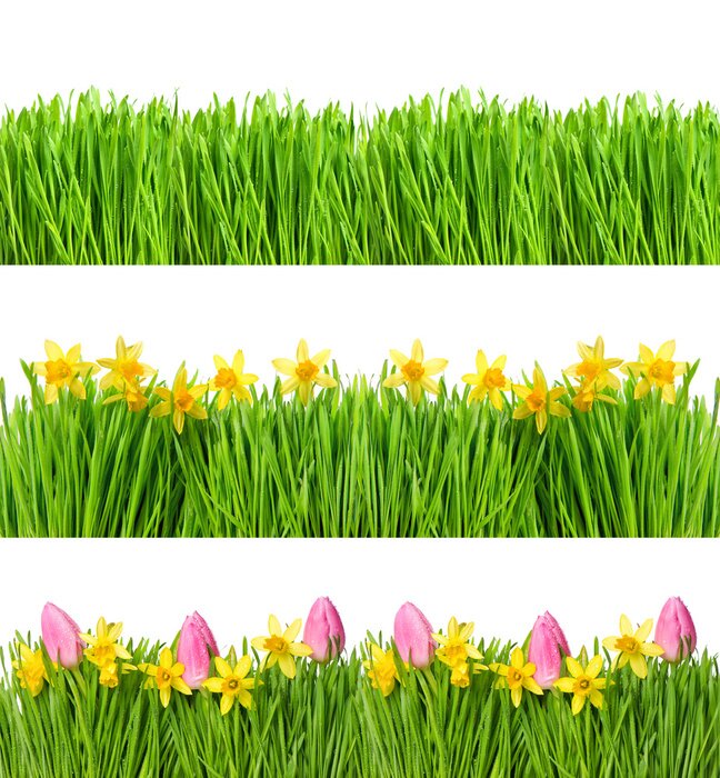 Sticker Tulpen, narcissen en gras